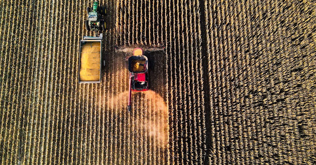 Nebraska field of corn with combine