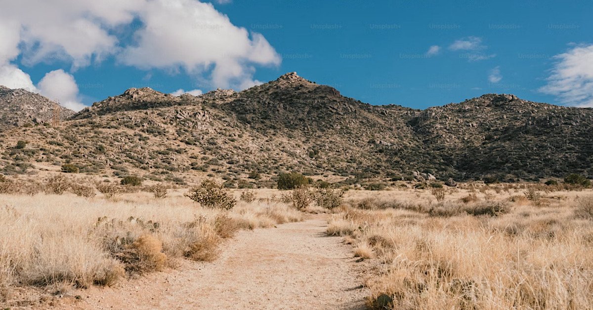 New mexico desert road